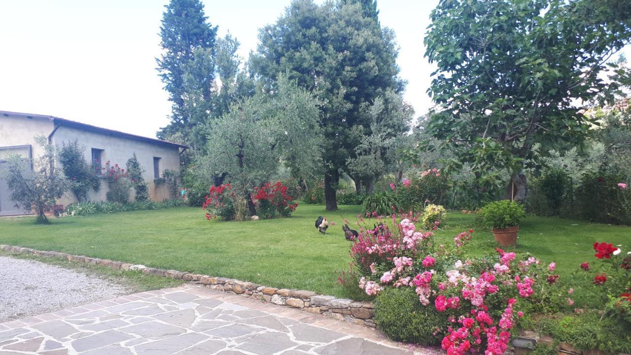 B&B L'Oliveto Лучиньяно Экстерьер фото